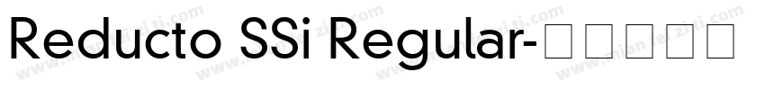 Reducto SSi Regular字体转换